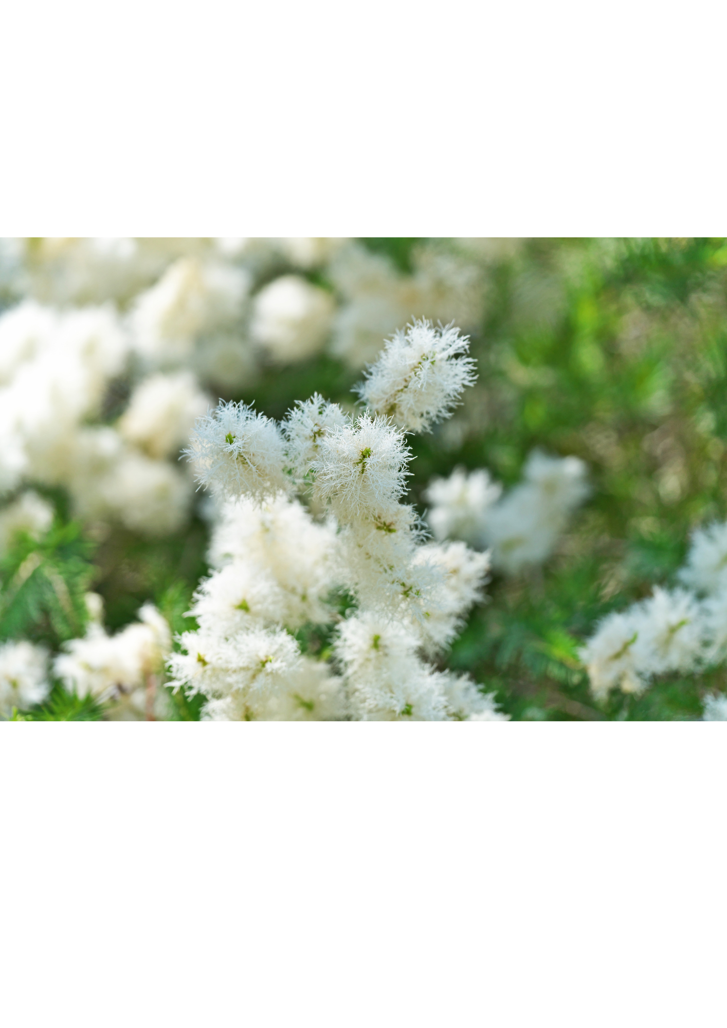 page-header